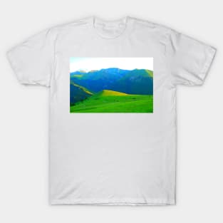 Scenery in Piani di Ragnolo with pastures and Sibillini T-Shirt